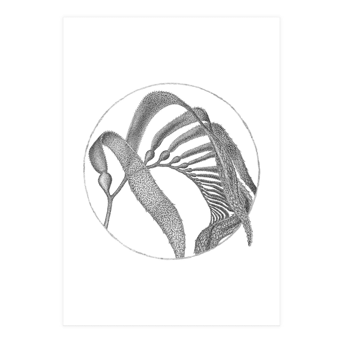 P.O. Blue Carbon (Print Only)