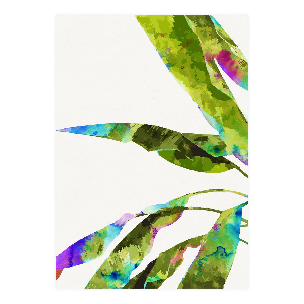Banana Leaves Holi (Print Only)