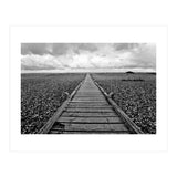 Dungeness, England (Print Only) thumbnail
