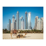 Camel (Print Only) thumbnail