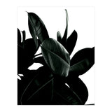 Dark Tree (Print Only) thumbnail