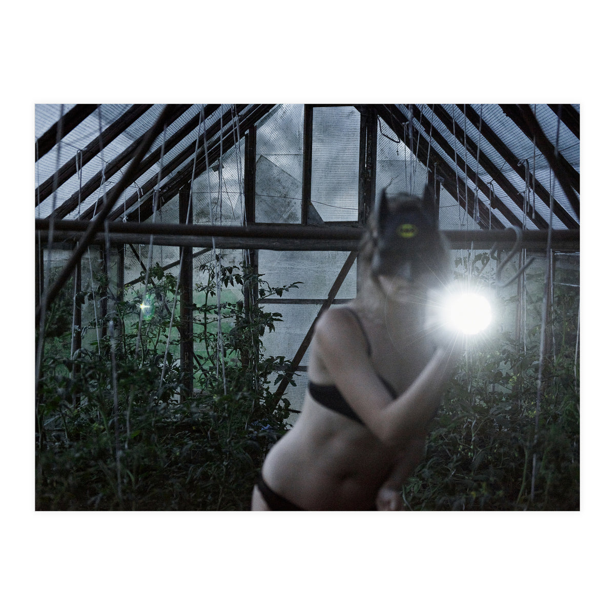 Tomatoes Thief (Print Only)