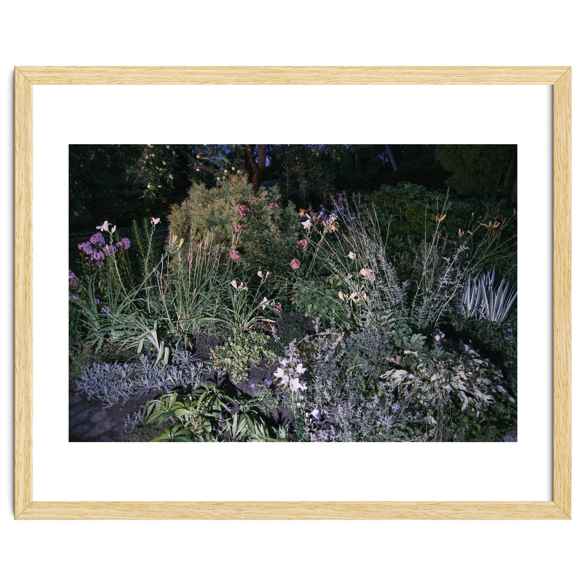 Picture Postcard Perfect