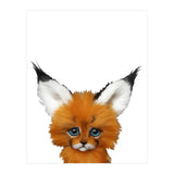 volpe (Print Only) thumbnail