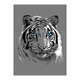 Sketch Tiger (Print Only) thumbnail
