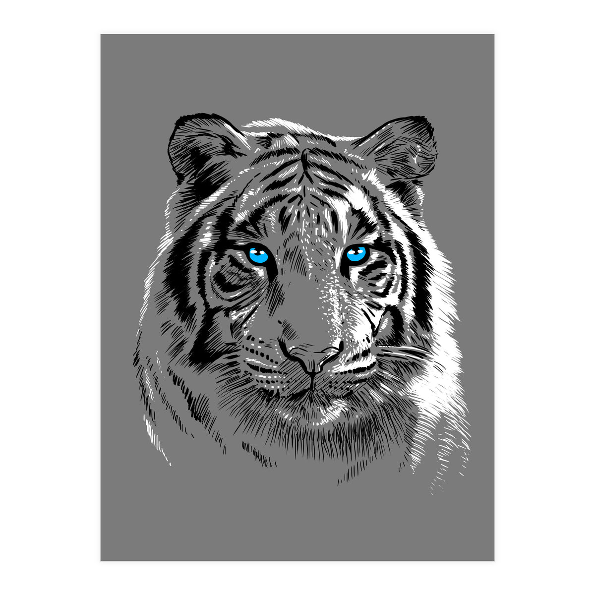 Sketch Tiger (Print Only)