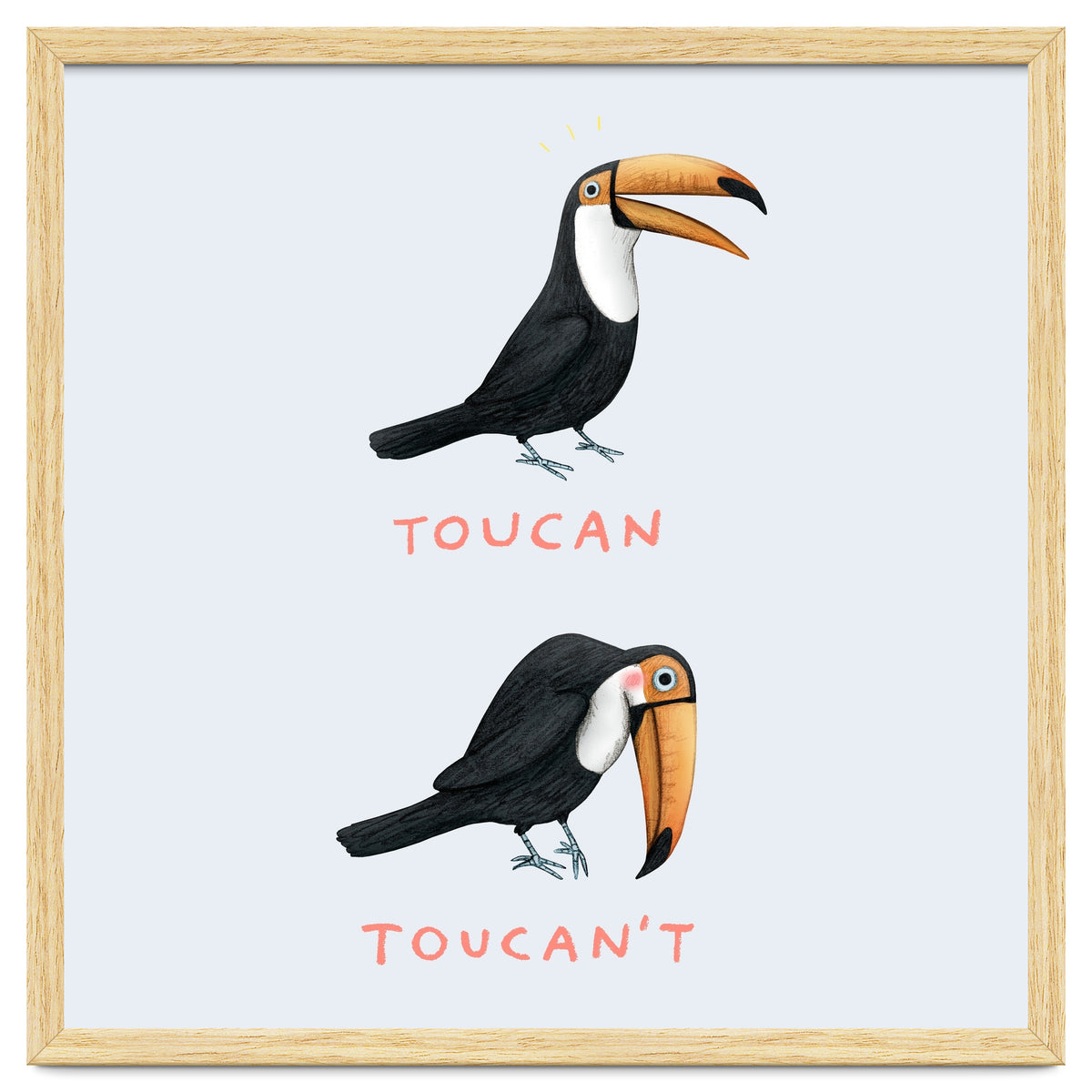 Toucan Toucan't
