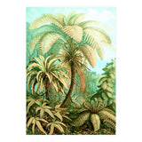 Vintage Tropical | Jungle Botanical Nature Banana Tree | Bohemian Plants Trees Forest (Print Only) thumbnail