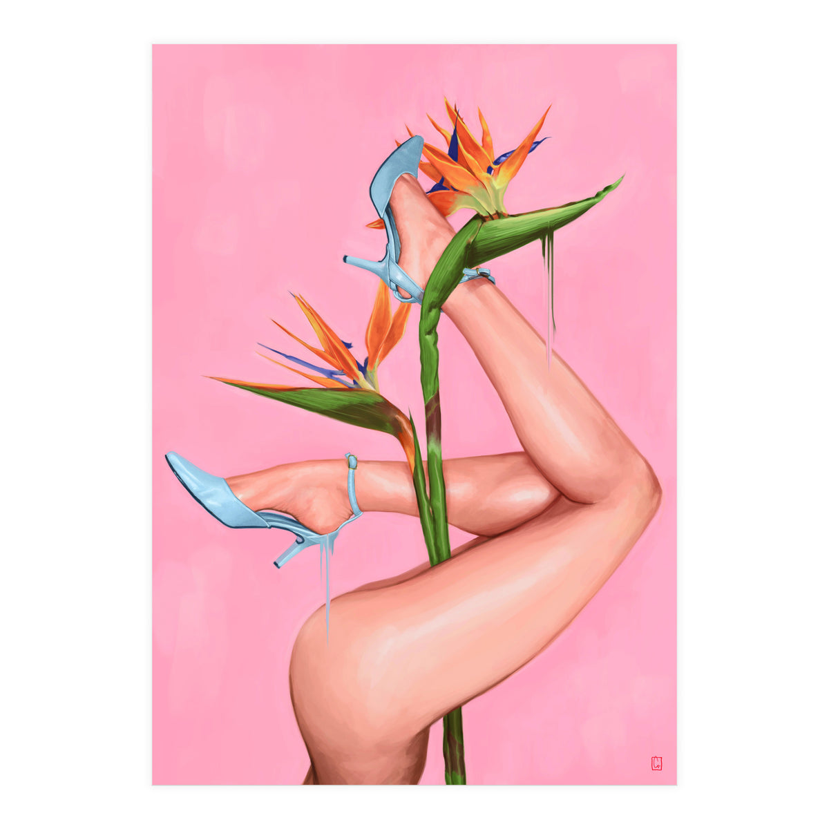 Bird Of Paradise (Print Only)