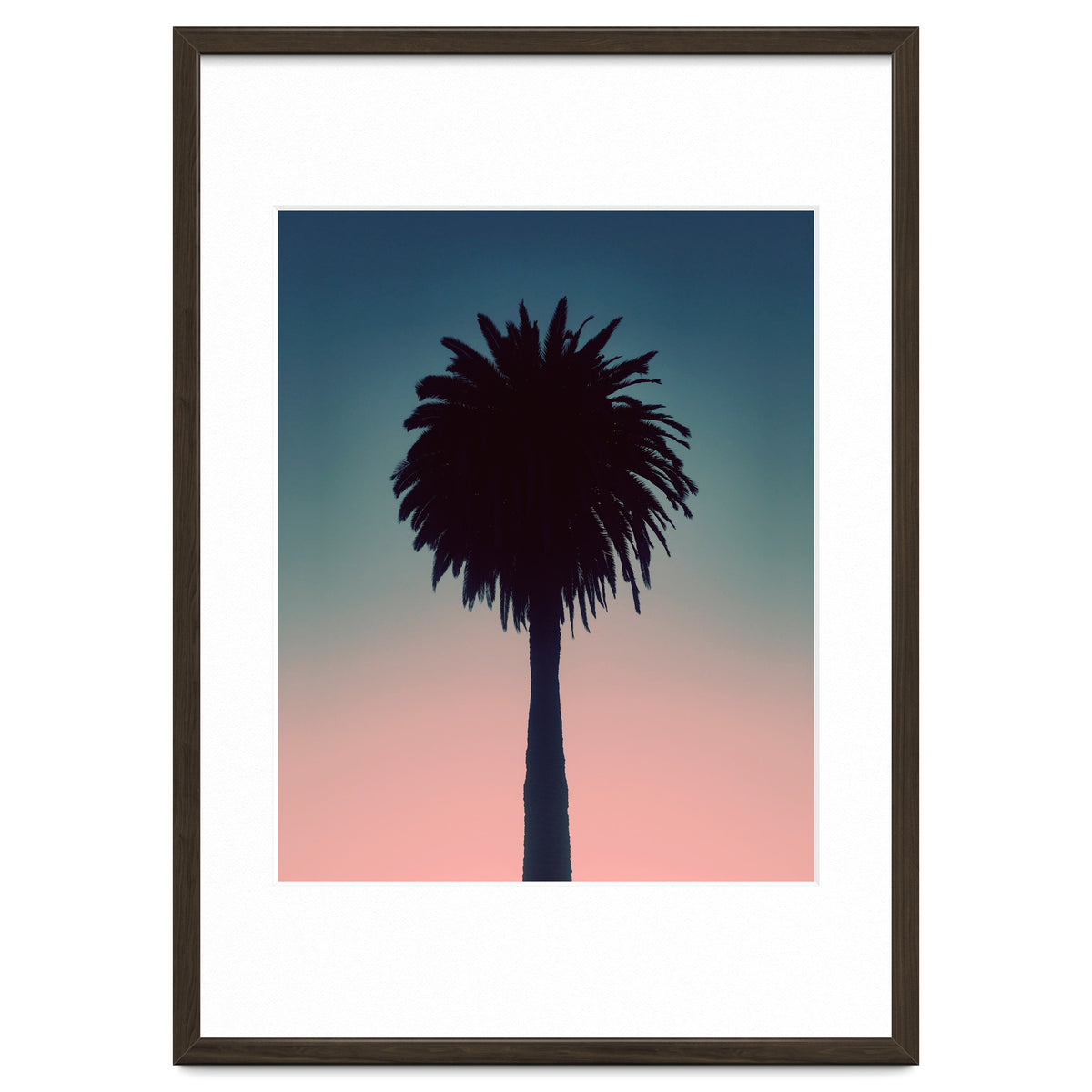 Sundown Palm
