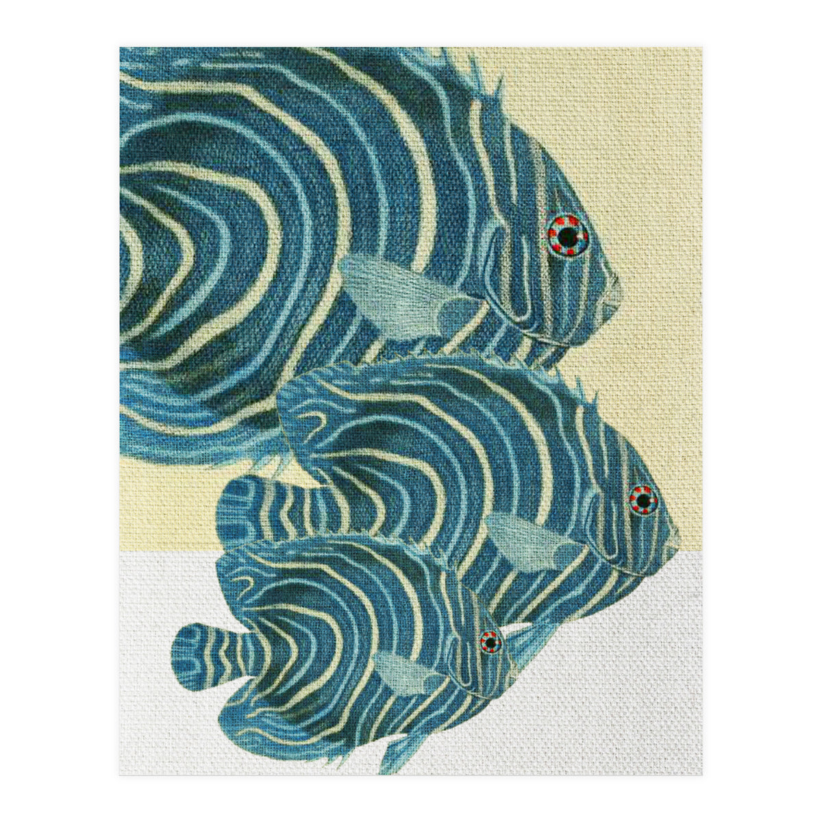 Fish Classic Designs 9 (Print Only)