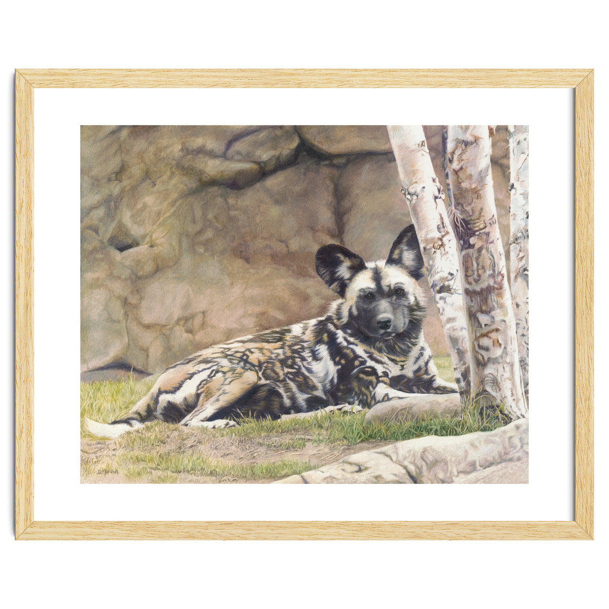 Afican Painted Dog IV - Imara