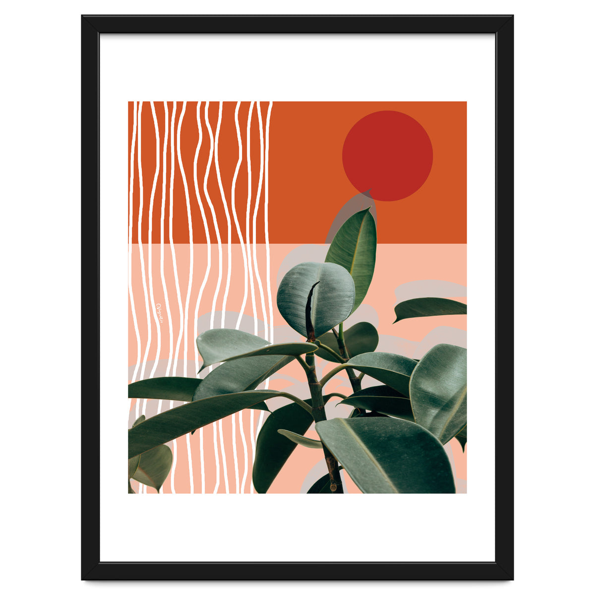 Times of a Growing Plant