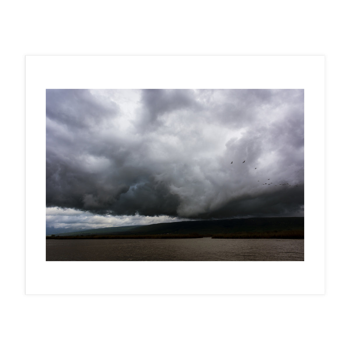 The Hula Valley #1 (Print Only)