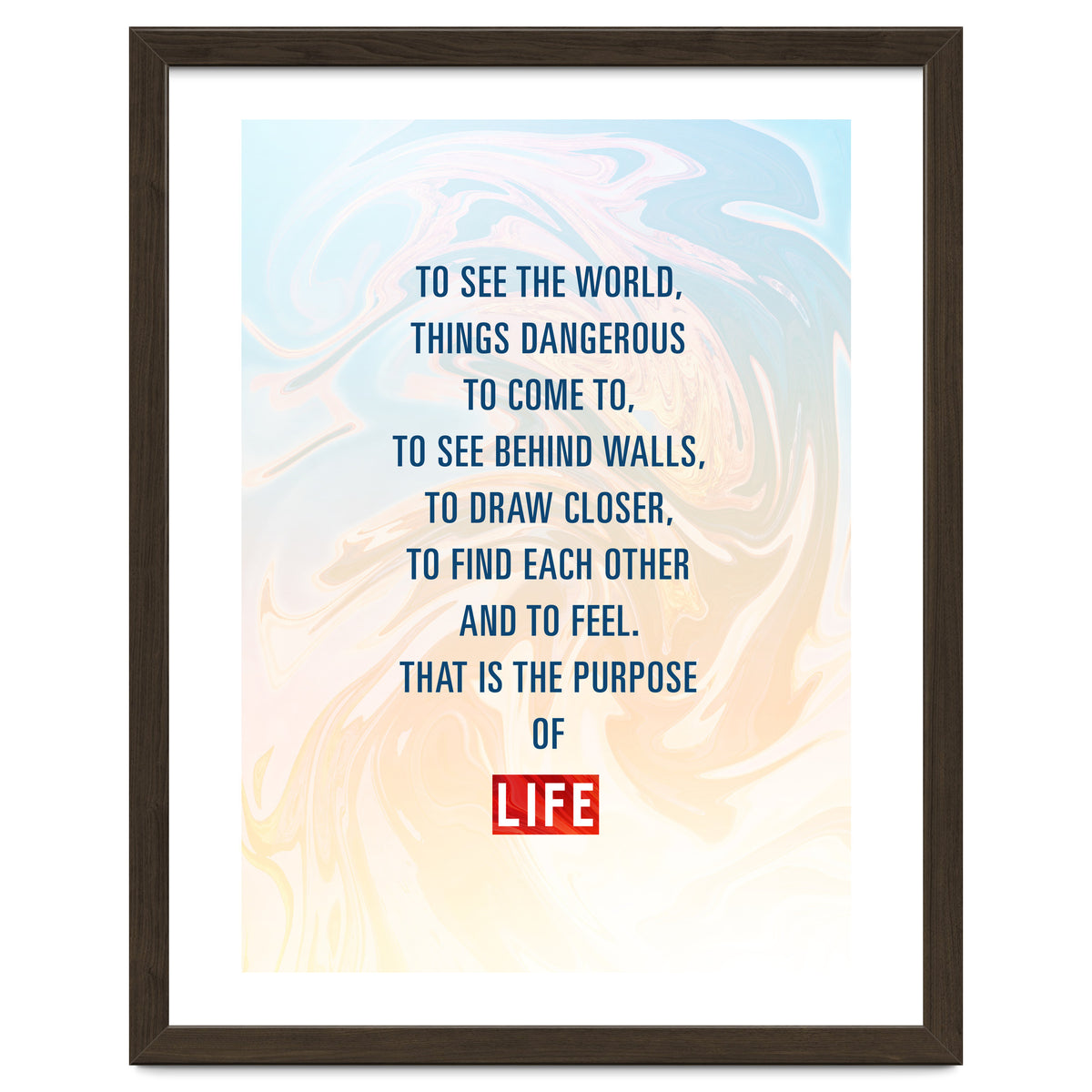 Secret Life of Walter Mitty