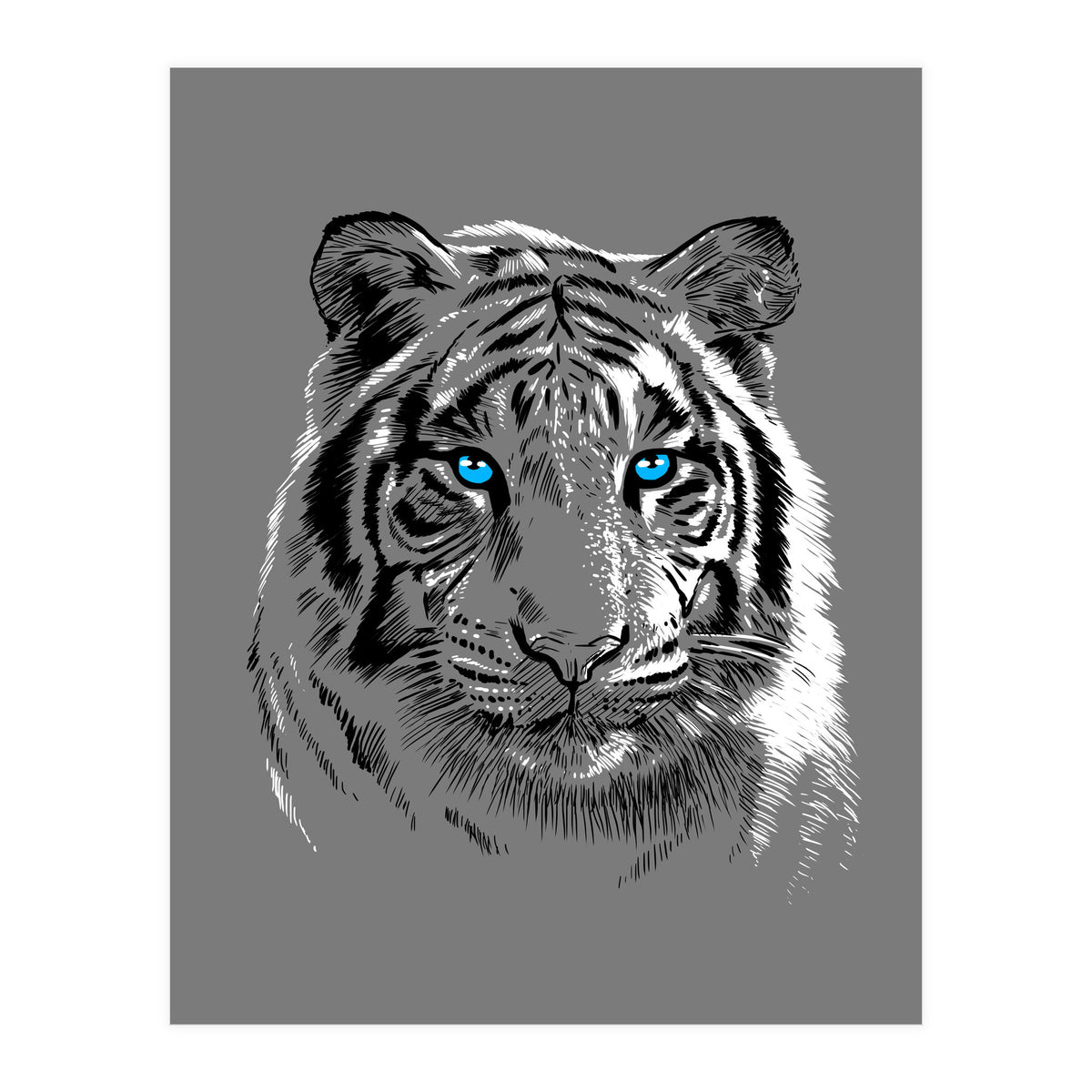 Sketch Tiger (Print Only)