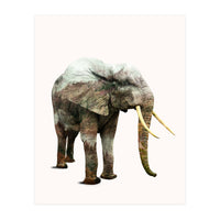 Elephant Transformation (Print Only)
