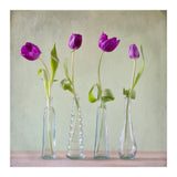 Tulips (Print Only) thumbnail