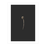 Simple Golden Botanical (Print Only) thumbnail