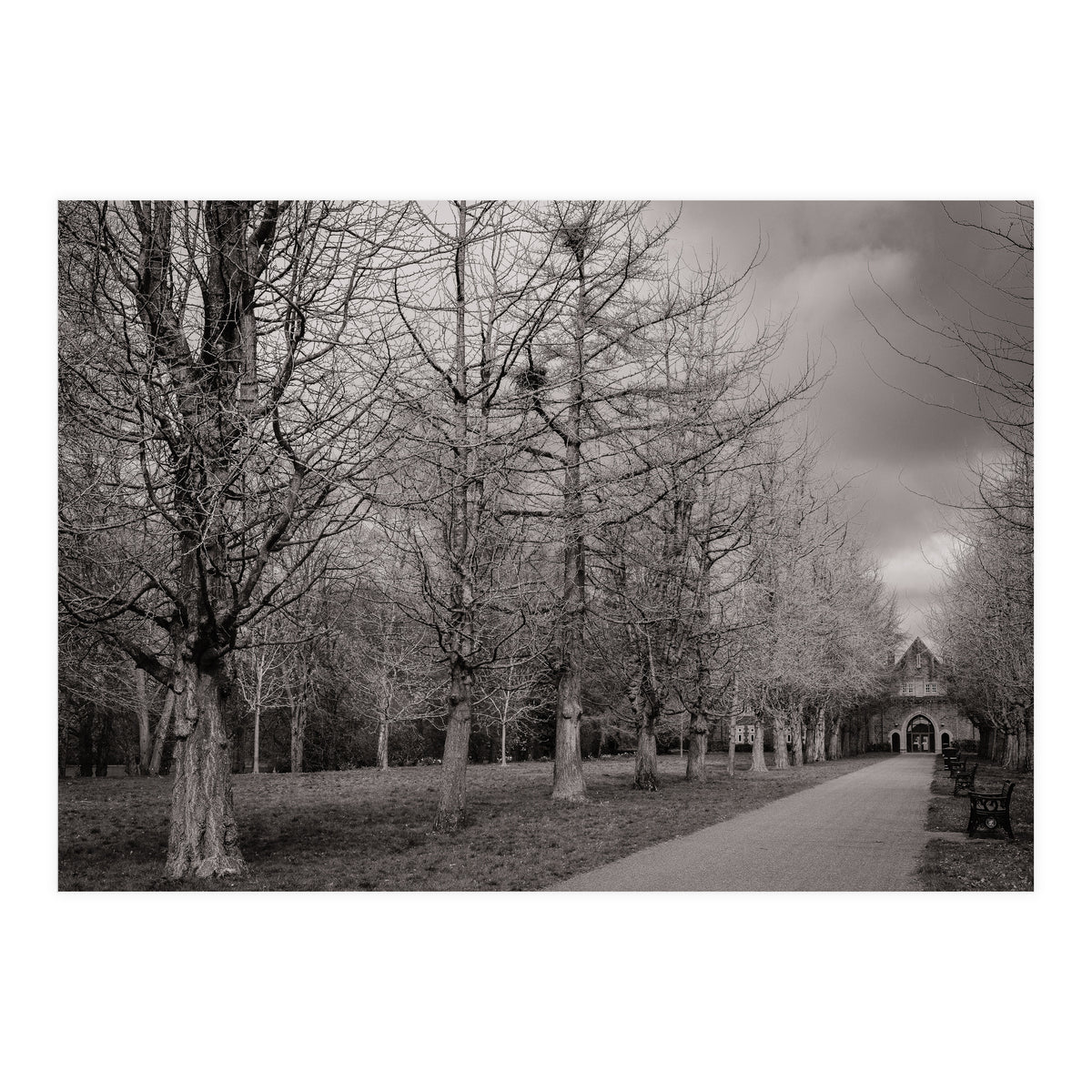Bute Park, Cardiff (Print Only)