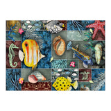 Sea Life Collage (Print Only) thumbnail