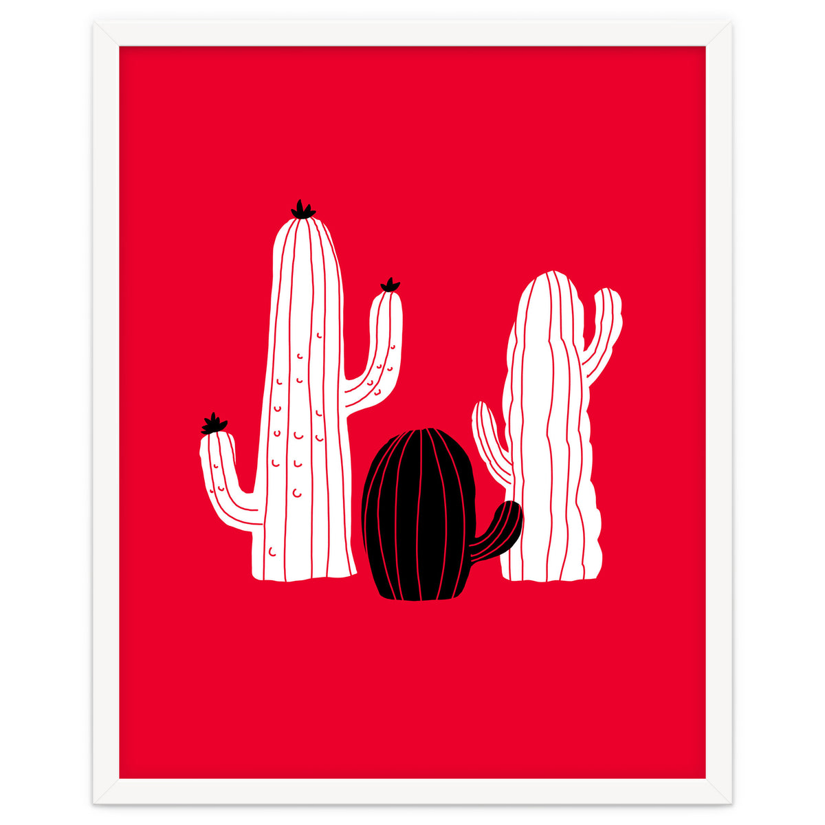 Cactus