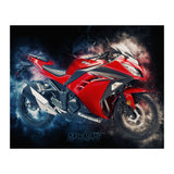 Kawasaki Ninja (Print Only) thumbnail