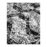 Sampa I (Print Only) thumbnail