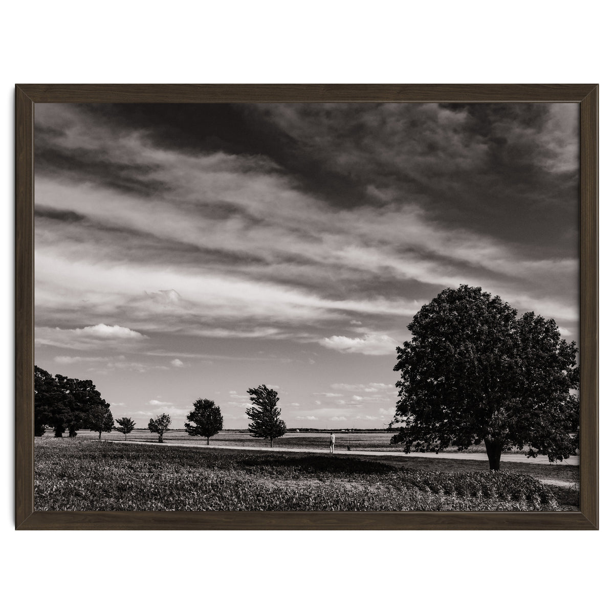 Country Road, Illinois