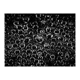 Bubbles (Print Only) thumbnail