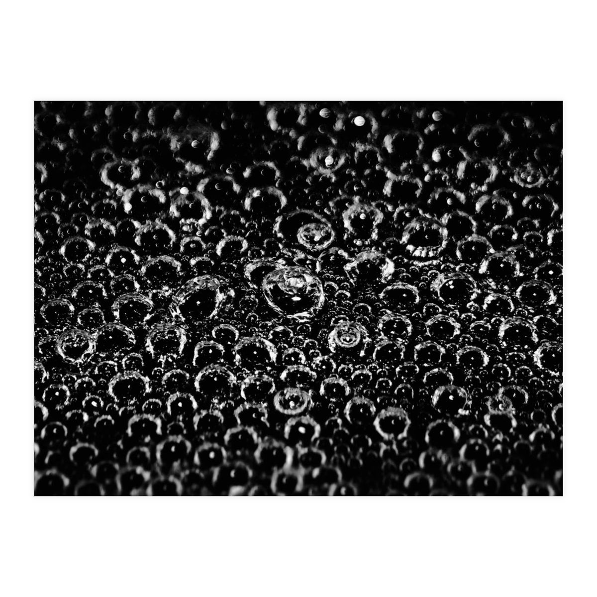 Bubbles (Print Only)