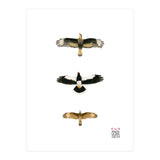 Falconidae n.2 (Print Only) thumbnail
