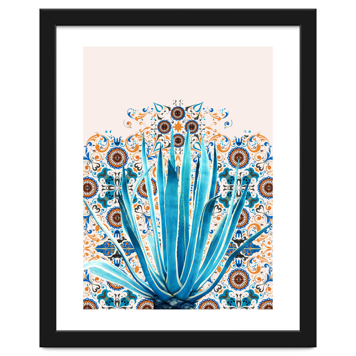 Cactus and Moroccan tiles