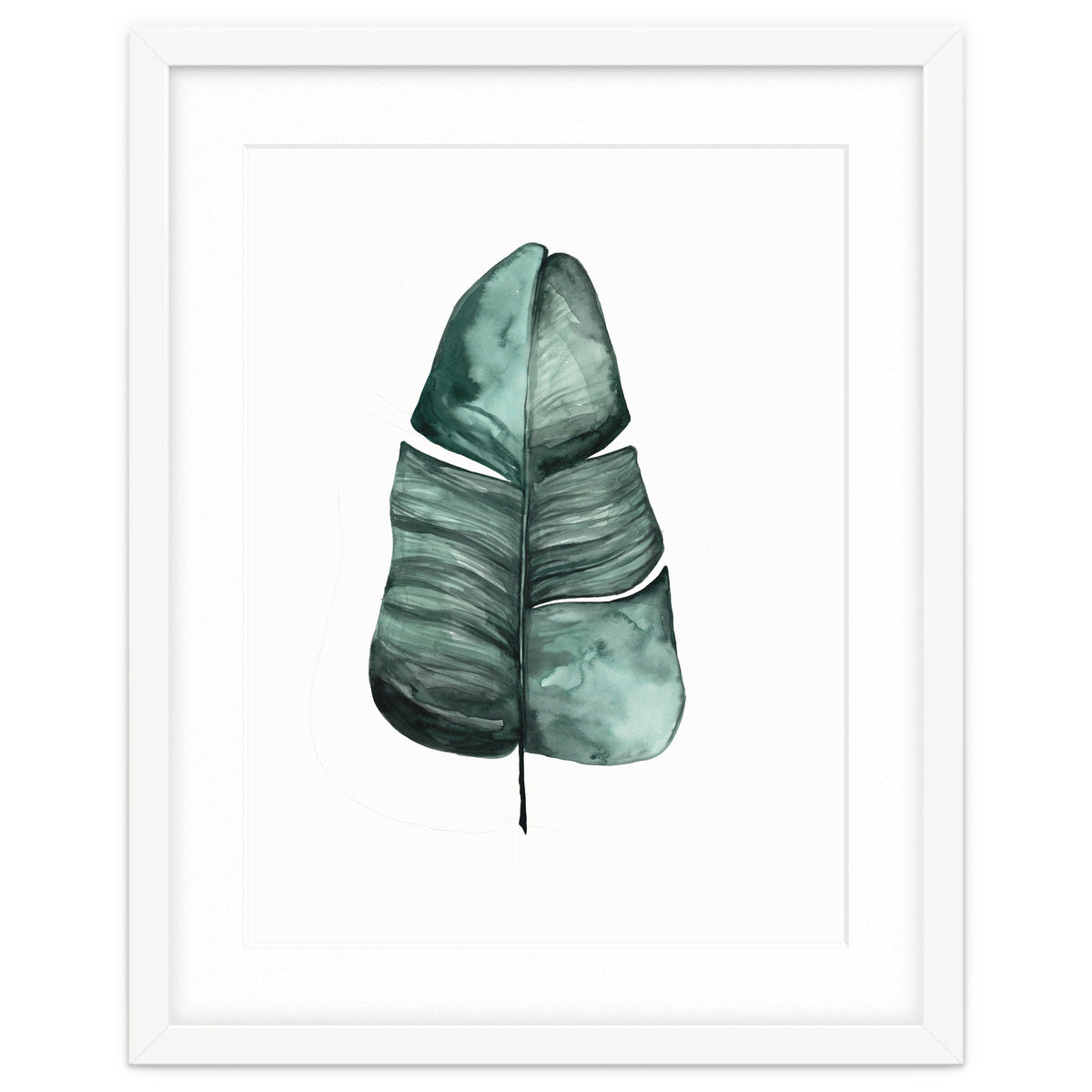 Botanical Illustration Banana Leaf