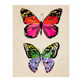Two Butterflies (Print Only) thumbnail