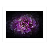 Backyard Flowers No 42 Color Version (Print Only) thumbnail