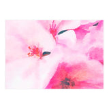 Kairos (Print Only) thumbnail