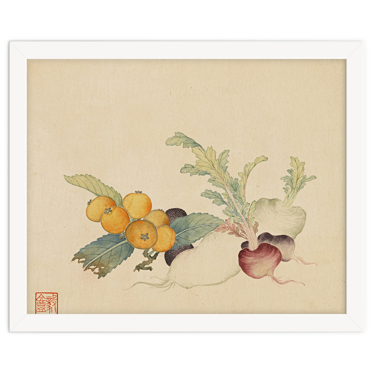 Wang Chengpi~flowers And Vegetables, Vegetables, Fruits, Loquat, White Radish, Carrot, Radish