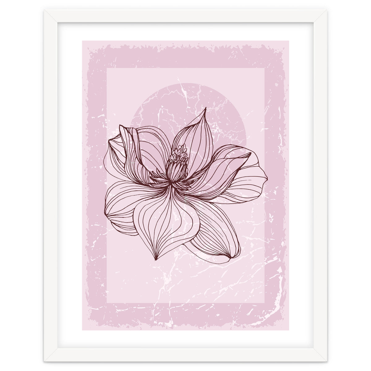 Modern Magnolia flower nature