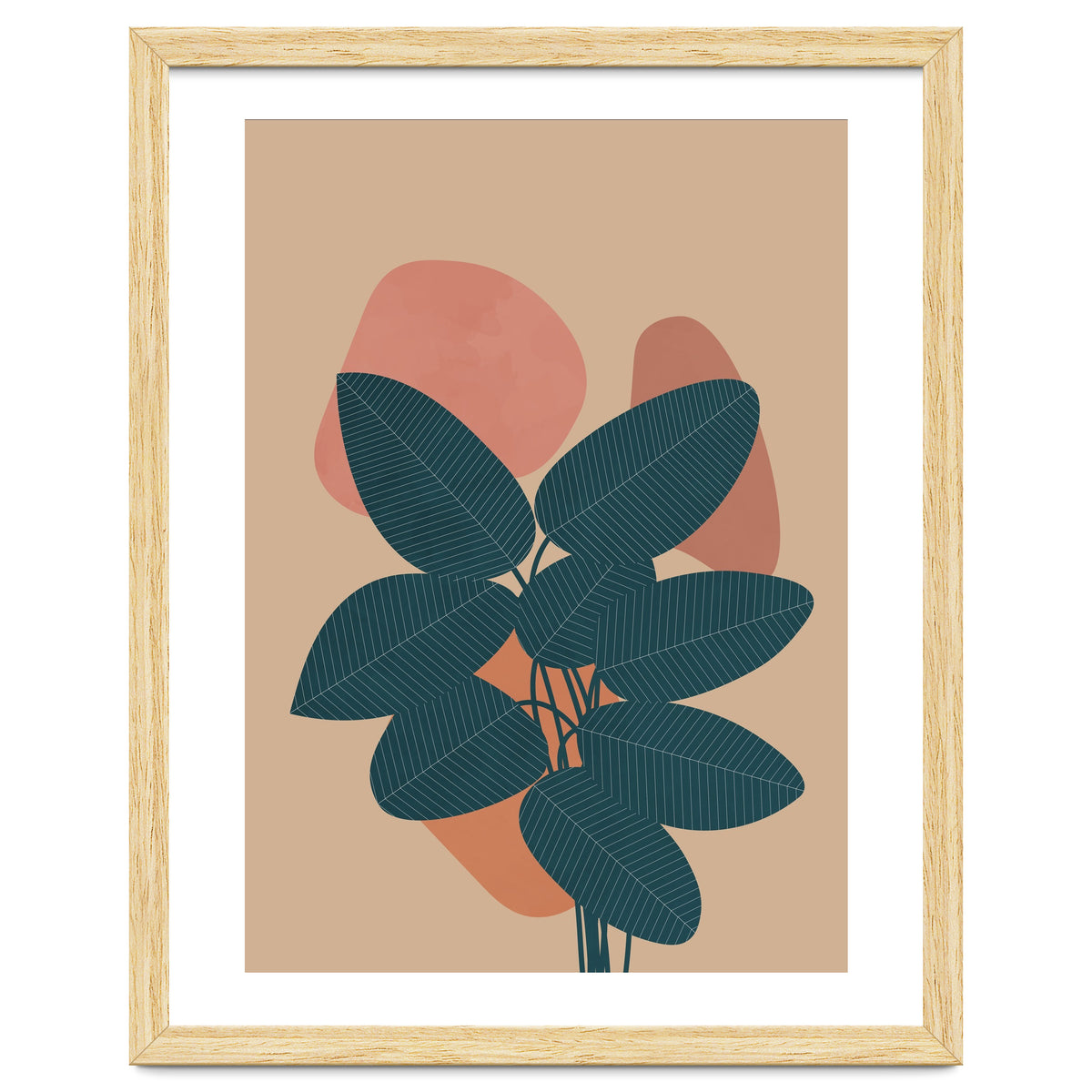 Rubber Plant Boho Botanical