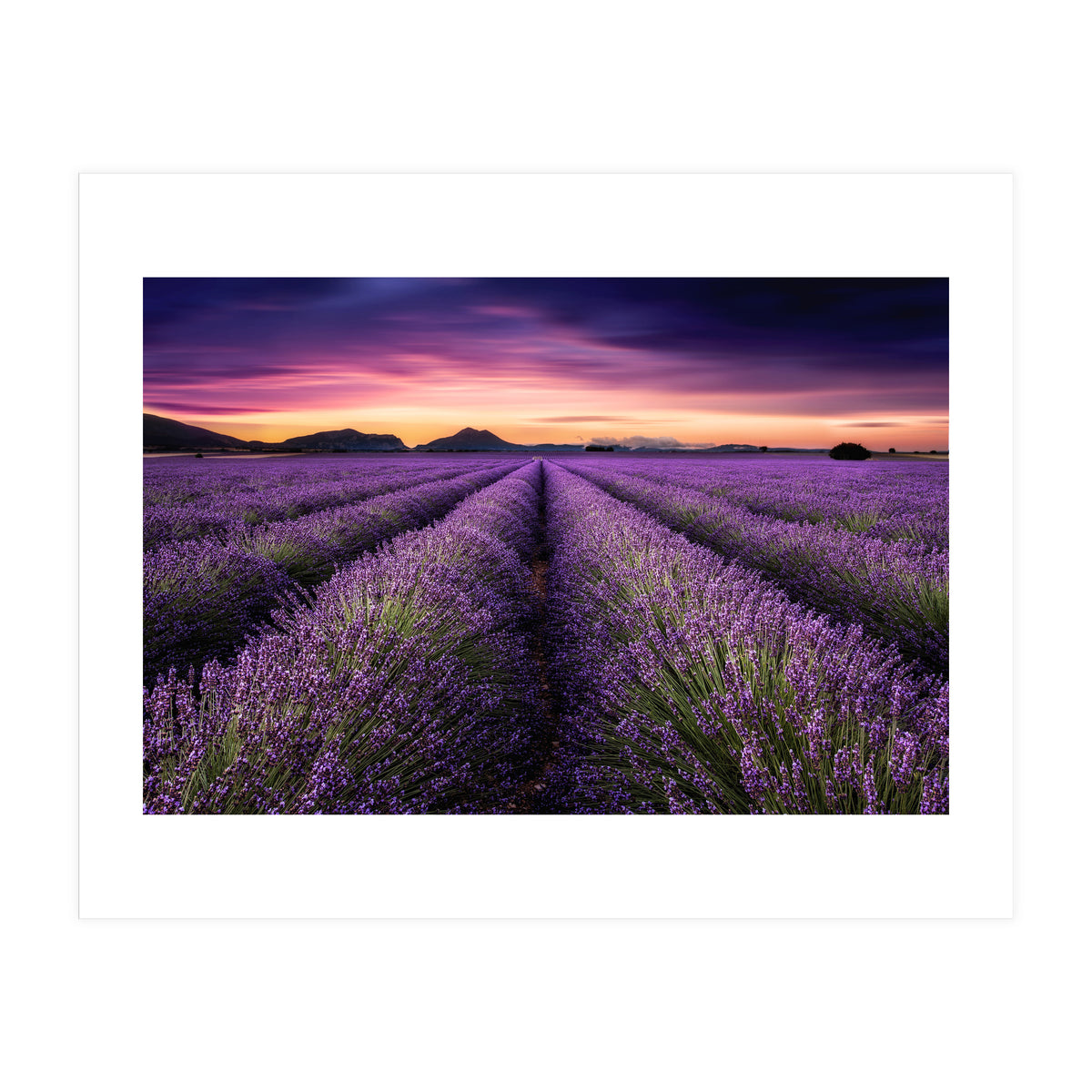 Mindfulness (Print Only)