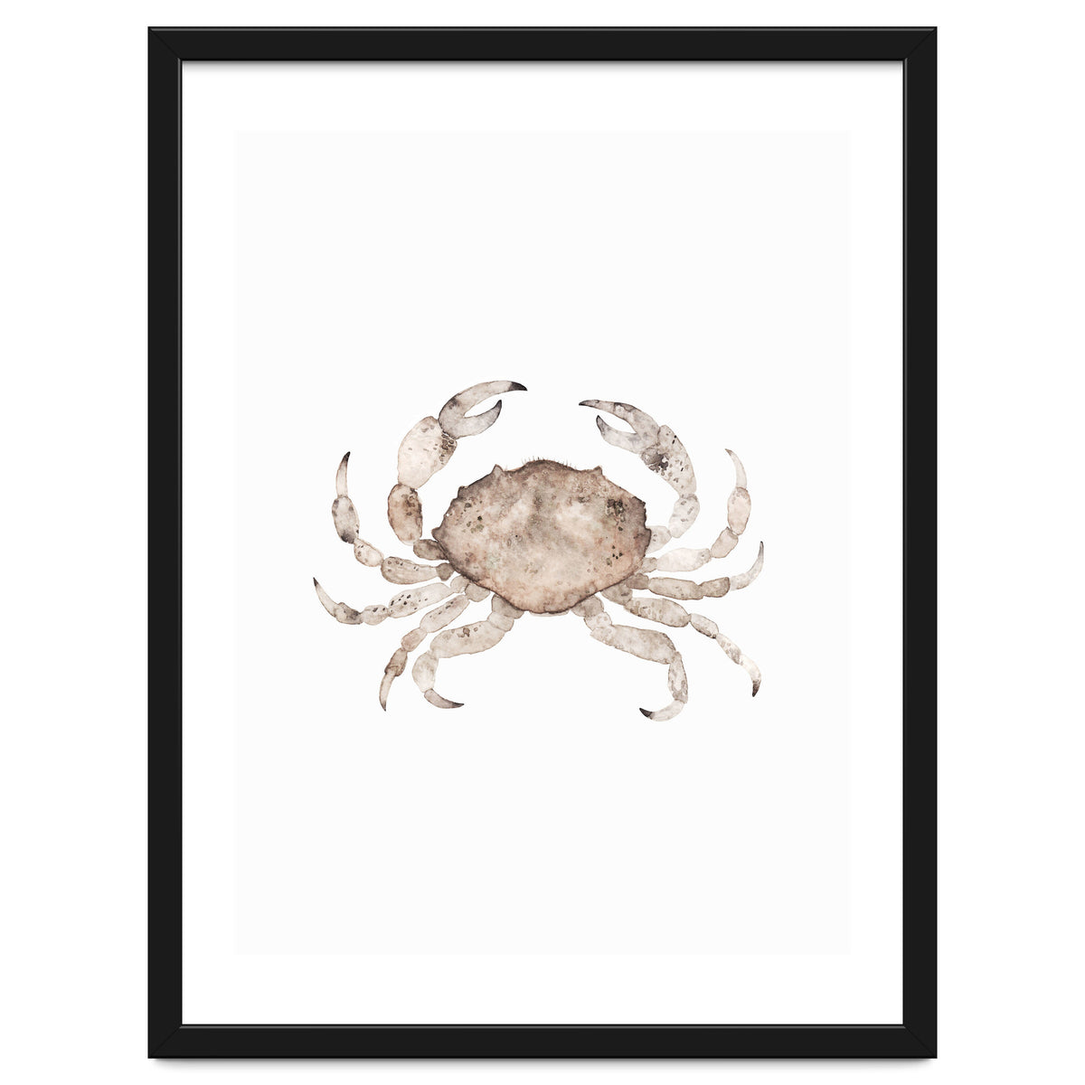 Crab