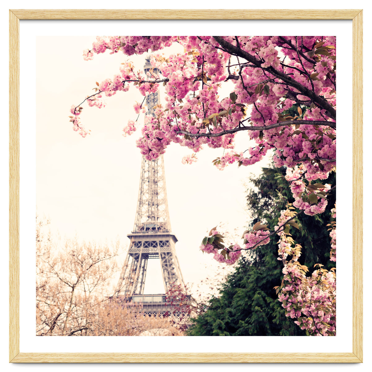 Paris in the Spring