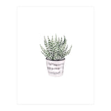 Potted Plant (Print Only) thumbnail