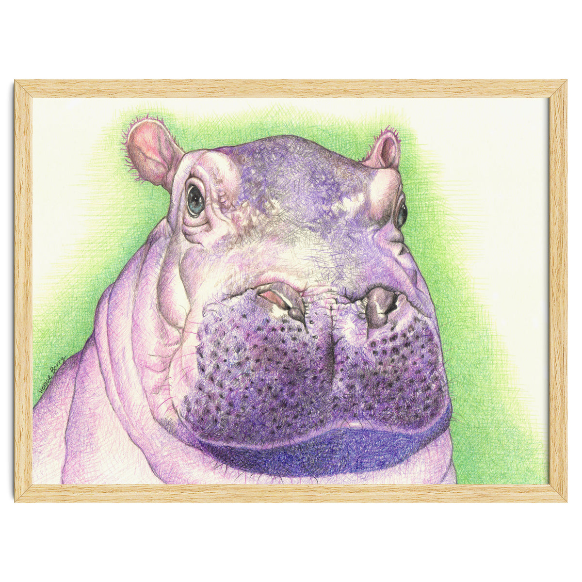 Purple Hippo
