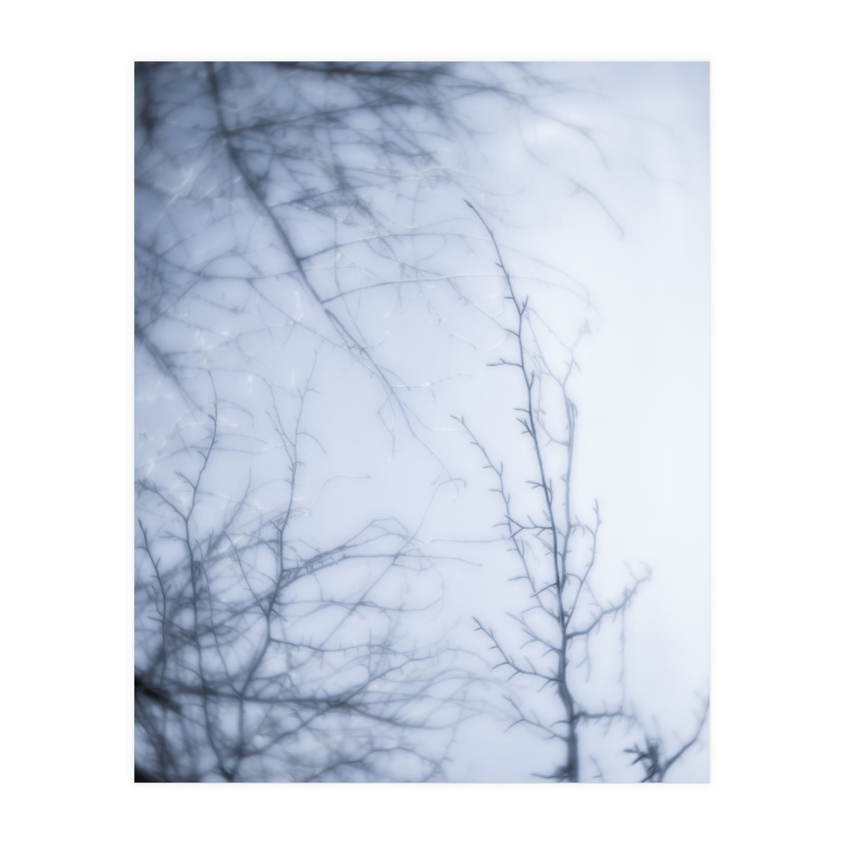 Forgotten Memories of Summer #21 (Print Only)