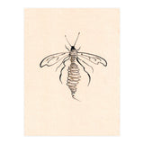 Wasp (Print Only) thumbnail
