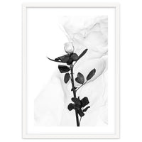 White Rose | Liquid Art
