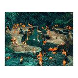 Flamingo Creek (Print Only) thumbnail