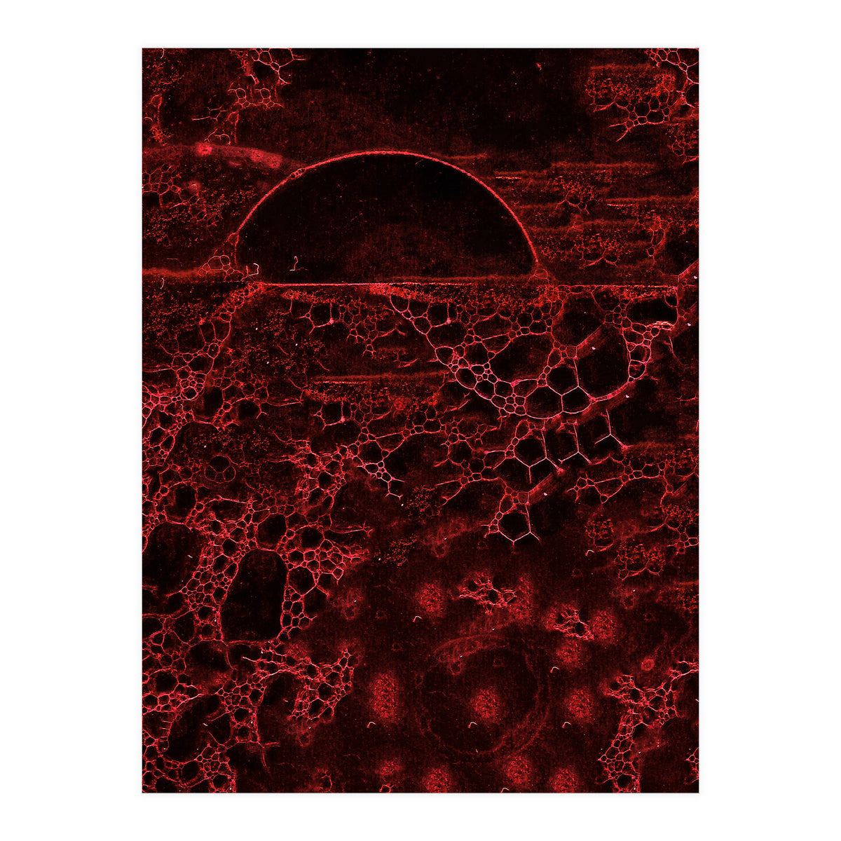 Red bubble (Print Only)
